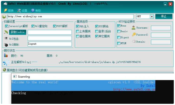 网站漏洞一键检测神器 站长工具-淘金源码
