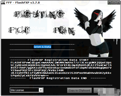 图片[2]-FlashFXP v5.4.0.3954 绿色版+注册机-淘金源码