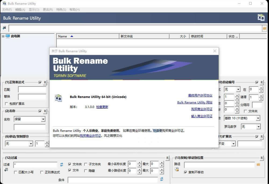Bulk Rename Utility 文件重命名工具 v3.1汉化 绿色版-淘金源码