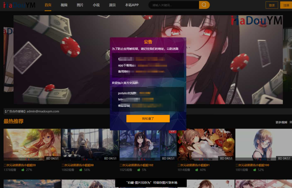 鱿鱼视频模板 MDYS12麻豆模板源码 小说网站源码模板-淘金源码