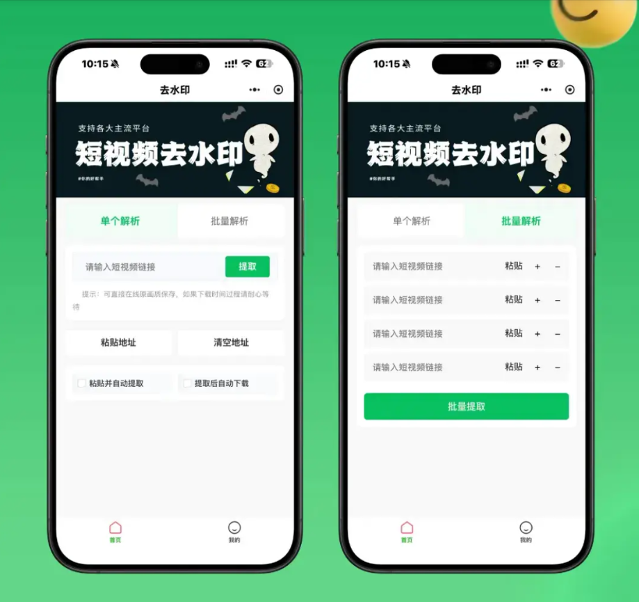 2026最新去水印小程序源码 v1.6.5 带流量主-淘金源码